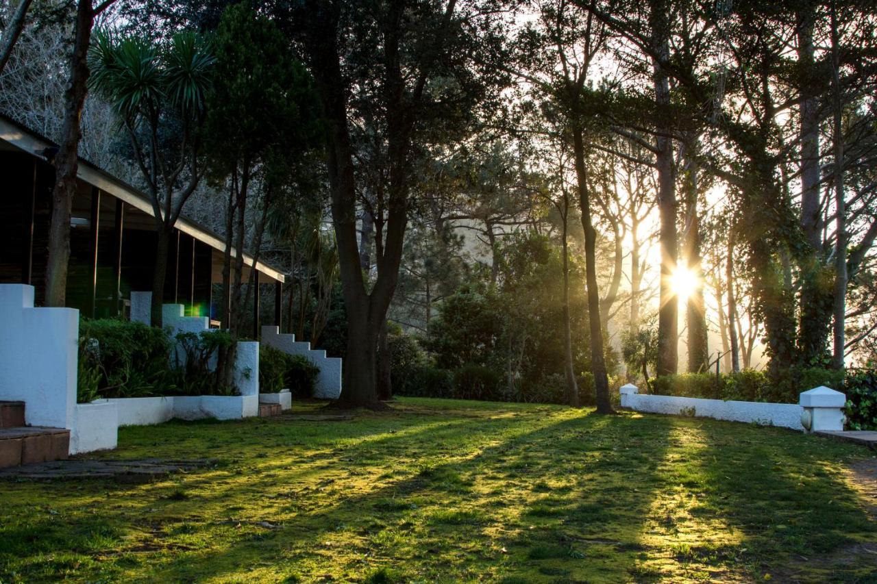 Silvermist Wine Estate Κέιπ Τάουν Εξωτερικό φωτογραφία